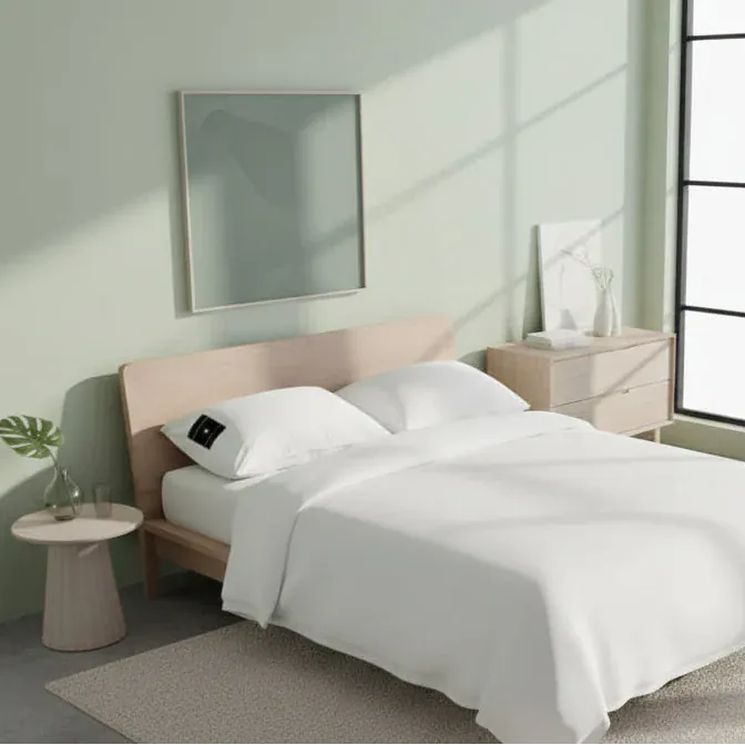 Toxifree Silver-Infused Grounding Pillowcase